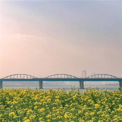日复一日游戏中文下载