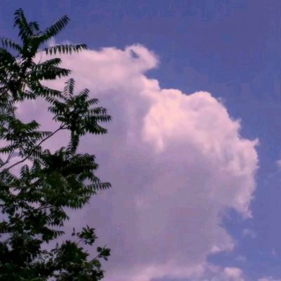 宝宝摩登照相馆游戏下载